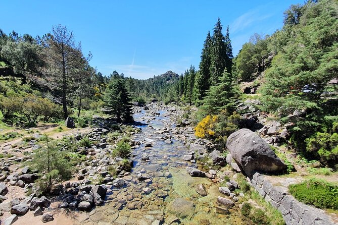From Porto: Peneda-Gerês National Park Full Day Tour - Miradouro da Pedra Bela: quick viewpoint time that pays off