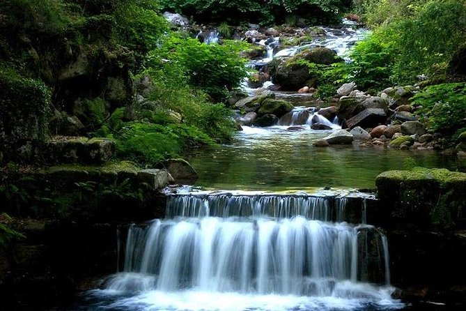 From Porto: Peneda-Gerês National Park Full Day Tour - What you get for the price, and why it may be worth it