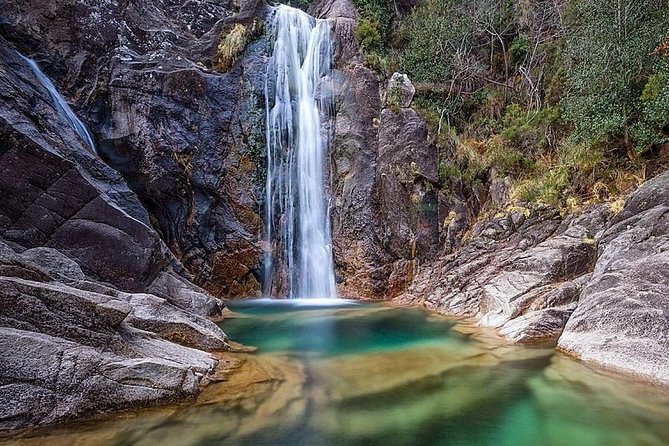 From Porto: Peneda-Gerês National Park Full Day Tour - Private tour format, pickup timing, and how the day actually flows