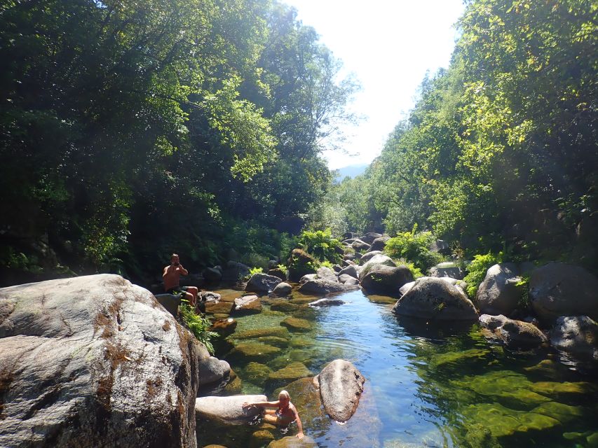 From Porto: Peneda-Gerês National Park Tour with Lunch - Participative tourism and reforestation, where your money goes