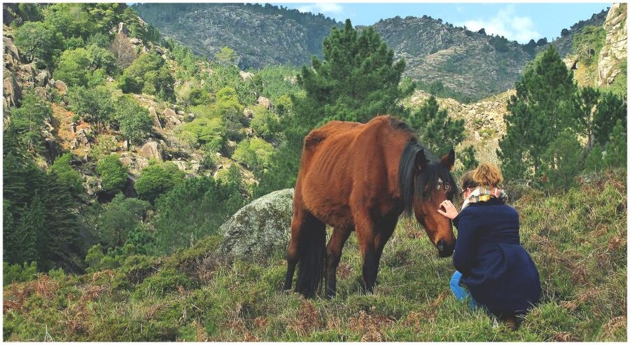 From Porto: Peneda-Gerês National Park Tour with Lunch - Value for $123: what you get and why it adds up