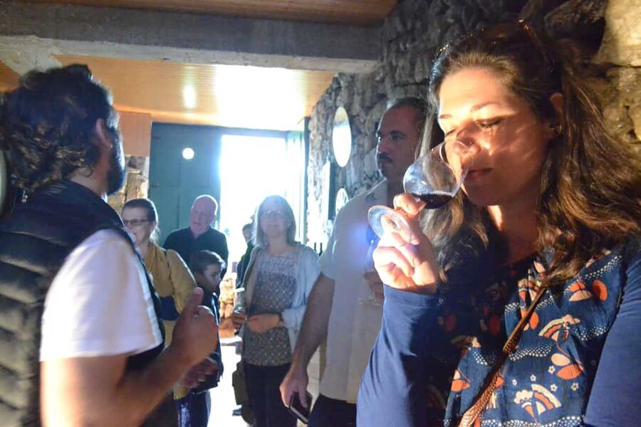 From Porto: Premium Douro Valley 4 Vineyards Tour with Lunch - What you actually taste on this tour: Port, DOC wines, and olive oil notes