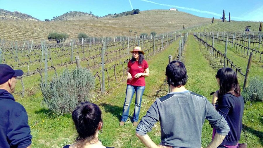From Porto: Premium Douro Valley 4 Vineyards Tour with Lunch - Morning pick-up and the drive into the Douro Valley