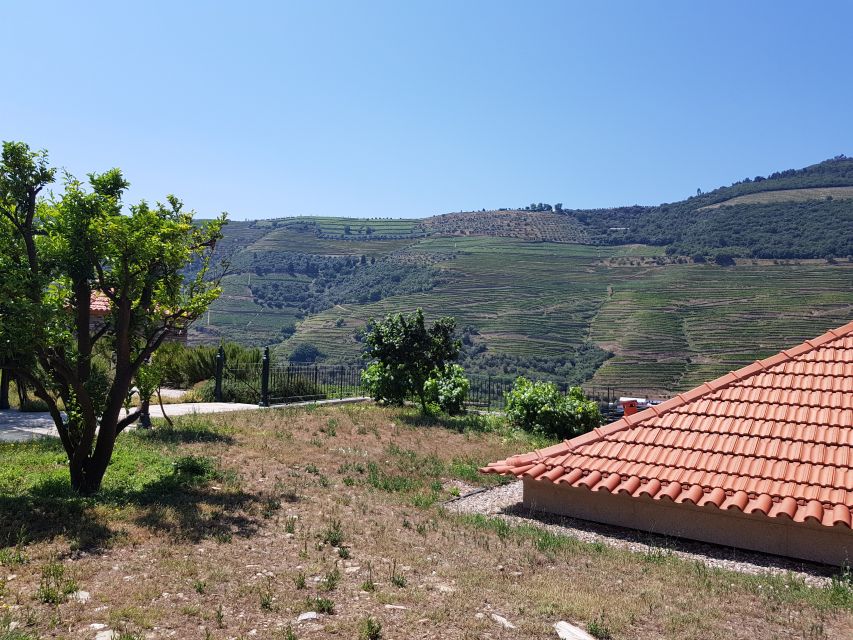 From Porto: Premium Douro Valley 4 Vineyards Tour with Lunch - Time on the river road: National Road 222 and a sightseeing break