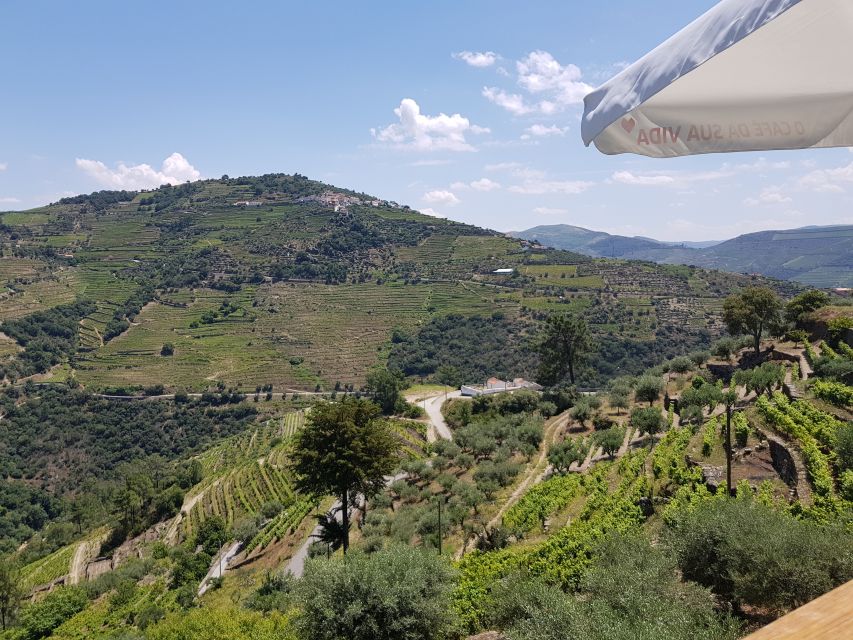 From Porto: Premium Douro Valley 4 Vineyards Tour with Lunch - Lunch at the third winery: traditional Portuguese food with estate wines