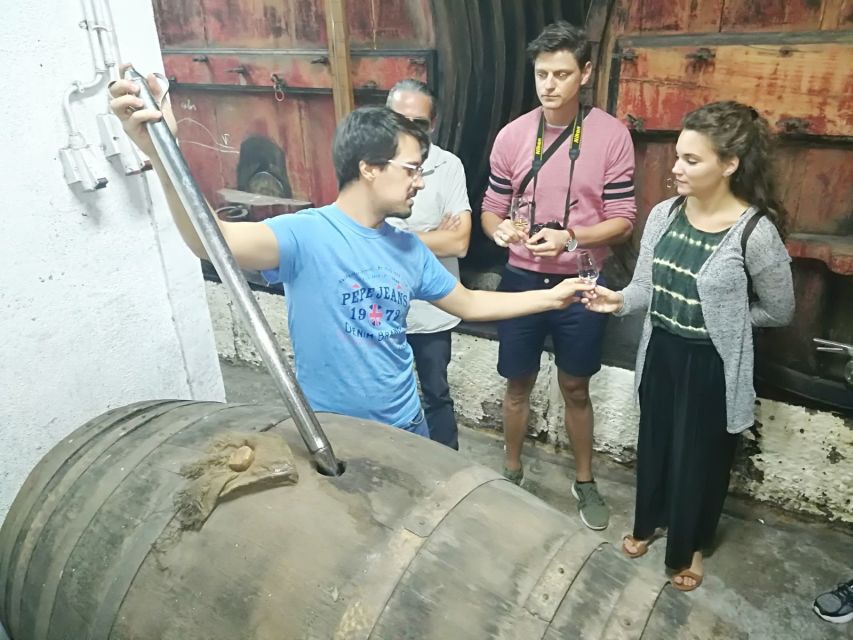 From Porto: Premium Douro Valley 4 Vineyards Tour with Lunch - Final winery on a high-scenery setting: last wines and local products