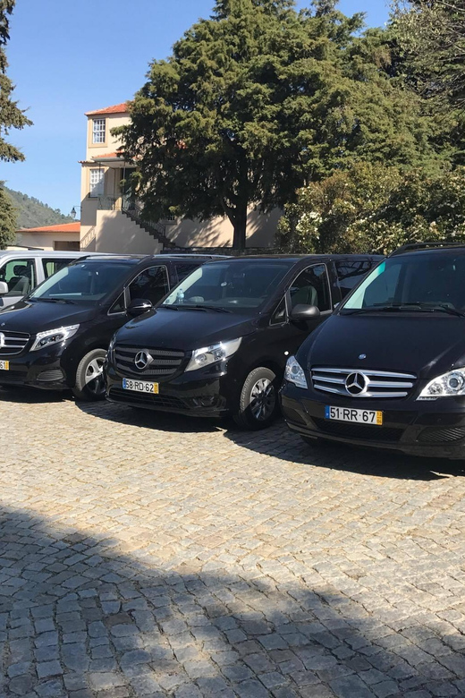 From Porto: Premium Douro Valley Small-Group Wine Tour - Porto to the Douro: The Small-Group Advantage