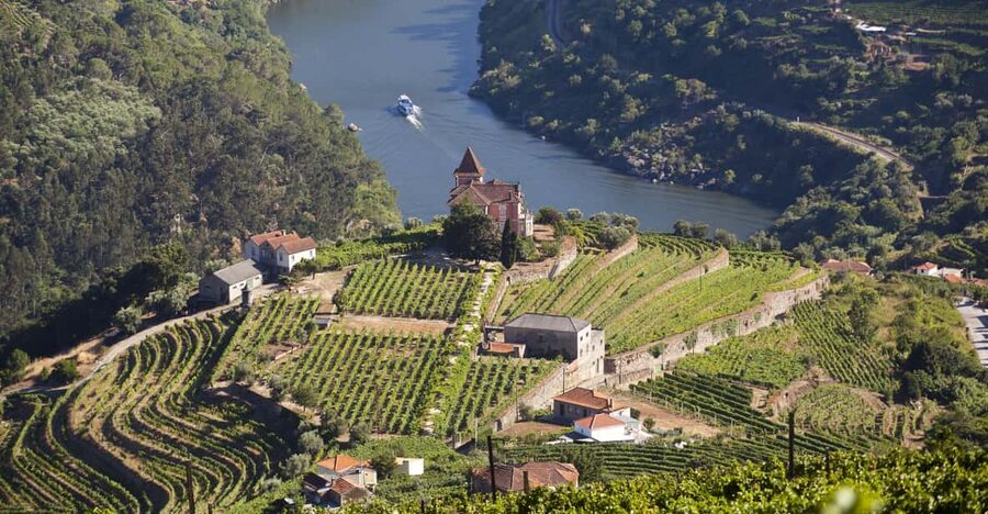 From Porto: Premium Douro Valley Small-Group Wine Tour - Premium Lunch: A Gastronomic Meal With Vintage Port Over Fire
