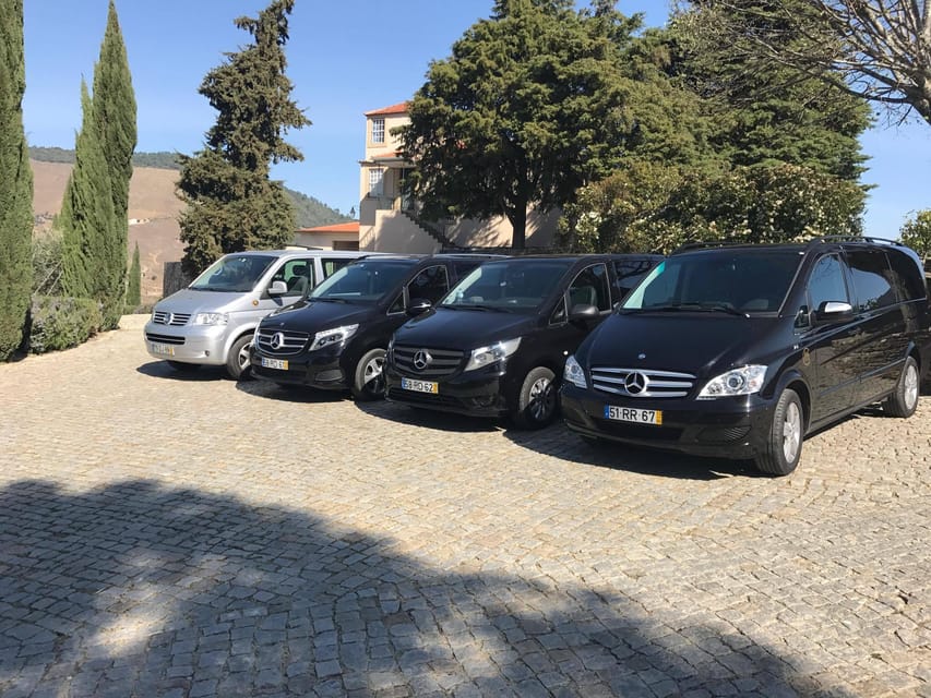 From Porto: Premium Douro Valley Small-Group Wine Tour - Douro River Cruise: Calm Time, Wine, and Panoramic Views