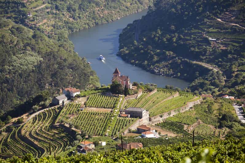 From Porto: Premium Douro Valley Small-Group Wine Tour - Winery Stop 1: Port, Red, White, and Olive Oil