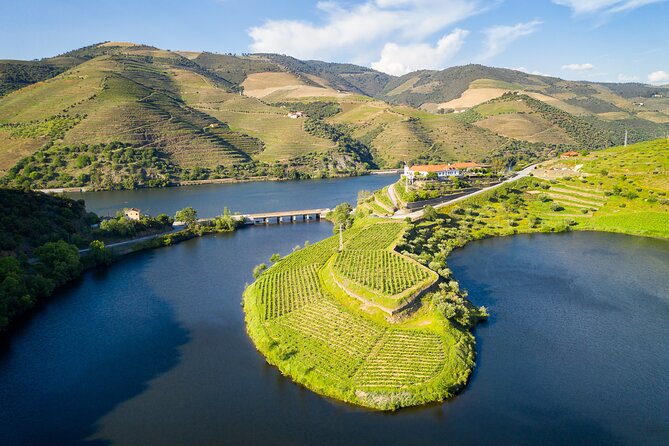 From Porto: Private Douro Valley Tour - A Douro day that runs on your time, not public transit
