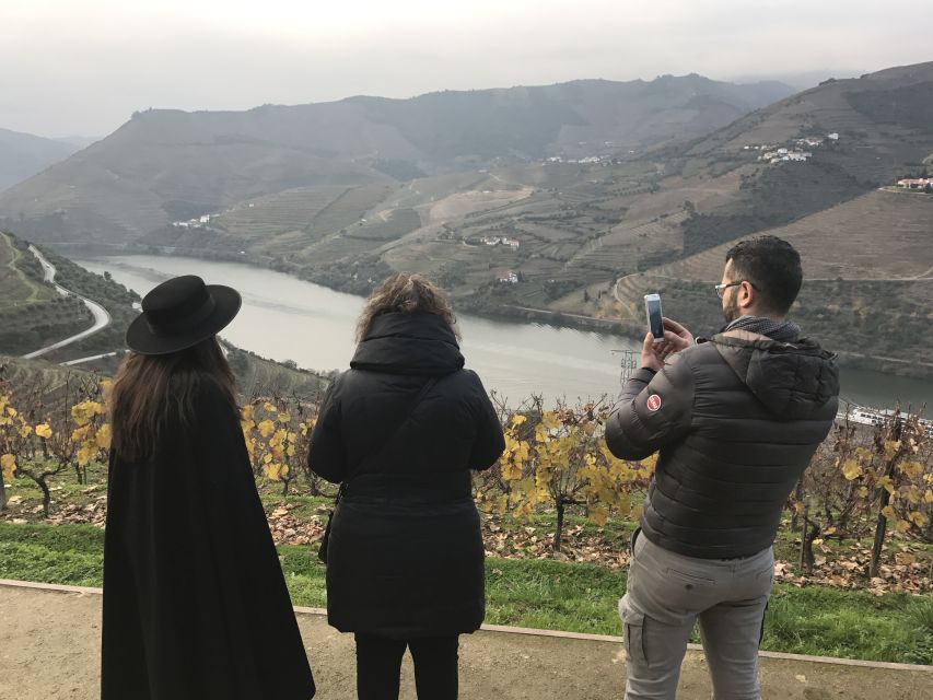 From Porto: Private Douro Valley Tour with Cruise and Wine - Wine day, two estates, one clear progression