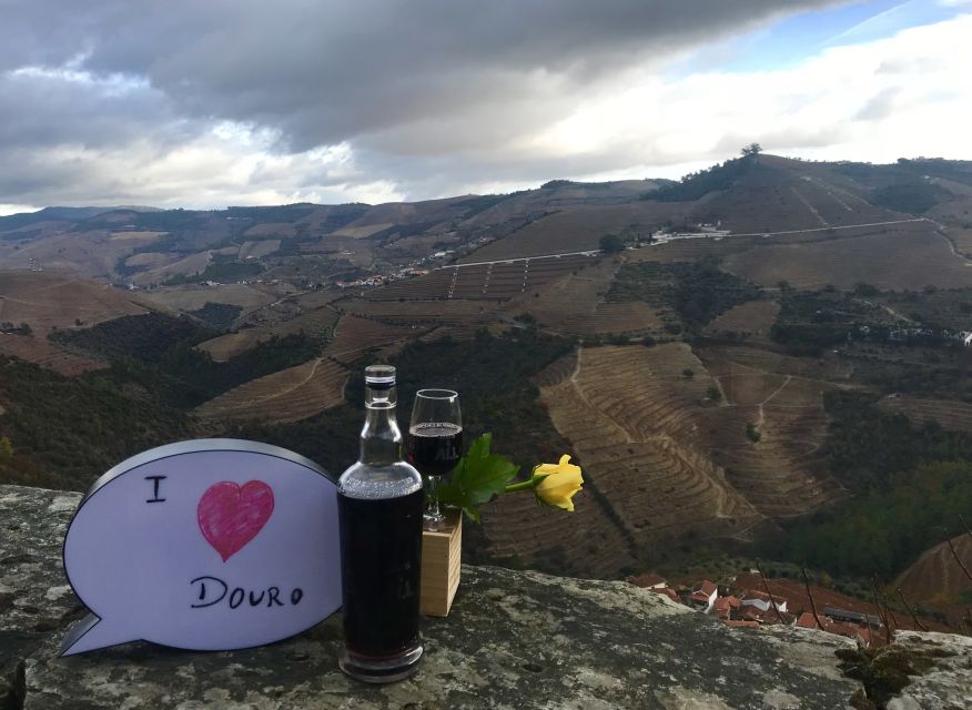 From Porto: Private Douro Valley Tour with Cruise and Wine - Terraces, vineyards, and the photo stops that actually matter
