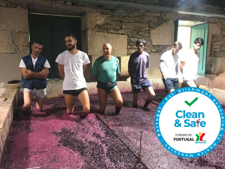 From Porto: Private Douro Valley Tour with Cruise and Wine - A true private day means the guide can adapt