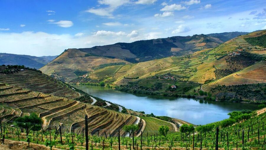 From Porto: Régua to Porto River Cruise with Lunch on Board - Porto to Régua: The Day Starts Before You Even Board
