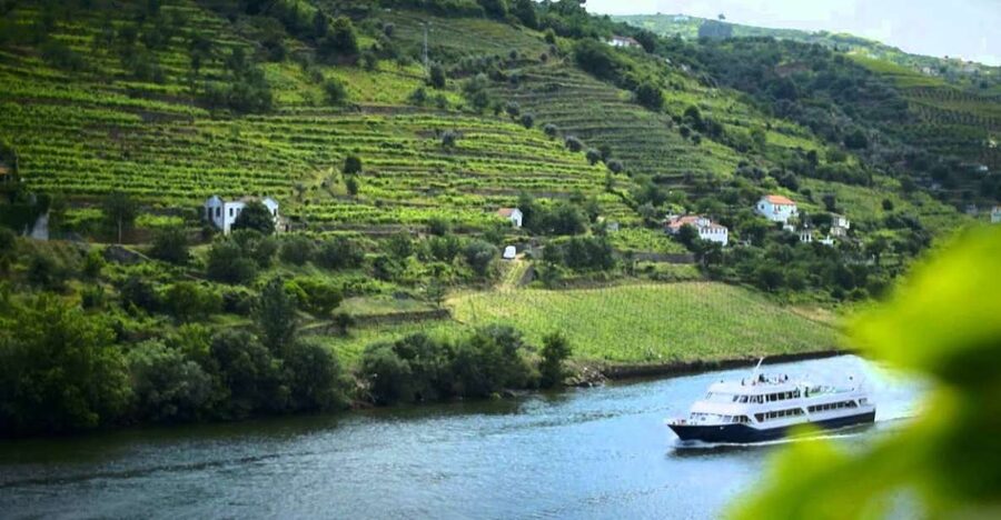 From Porto: Régua to Porto River Cruise with Lunch on Board - What I Think You’ll Enjoy Most