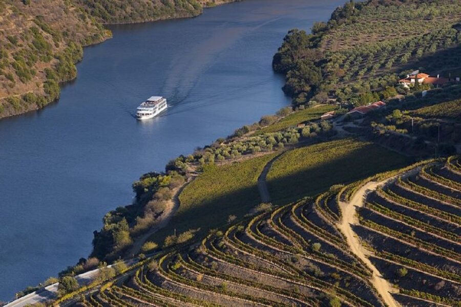 From Porto: Régua to Porto River Cruise with Lunch on Board - Boarding in Régua and Why This Direction Feels Right