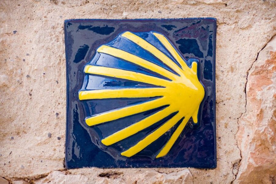 From Porto: Santiago de Compostela Cathedral Private Tour - The Cathedral Visit, What to Notice Beyond the Postcard
