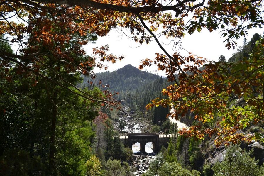 From Porto: Small Group Day Tour of Geres Park with Picnic - Should You Book This Gerês Day Trip From Porto?