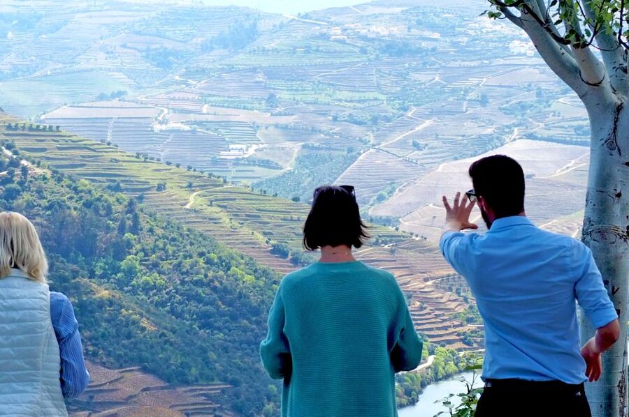 From Porto: Small-Group Douro Valley Wine Tour Lunch & Boat - Key Highlights You Will Care About