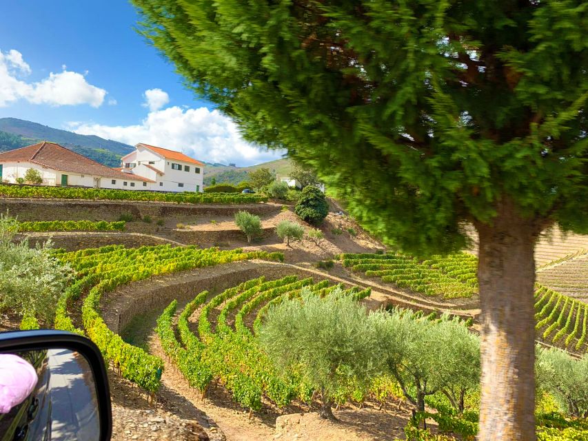From Porto: Small-Group Douro Valley Wine Tour Lunch & Boat - Photo Stops That Don’t Feel Like a Stampede