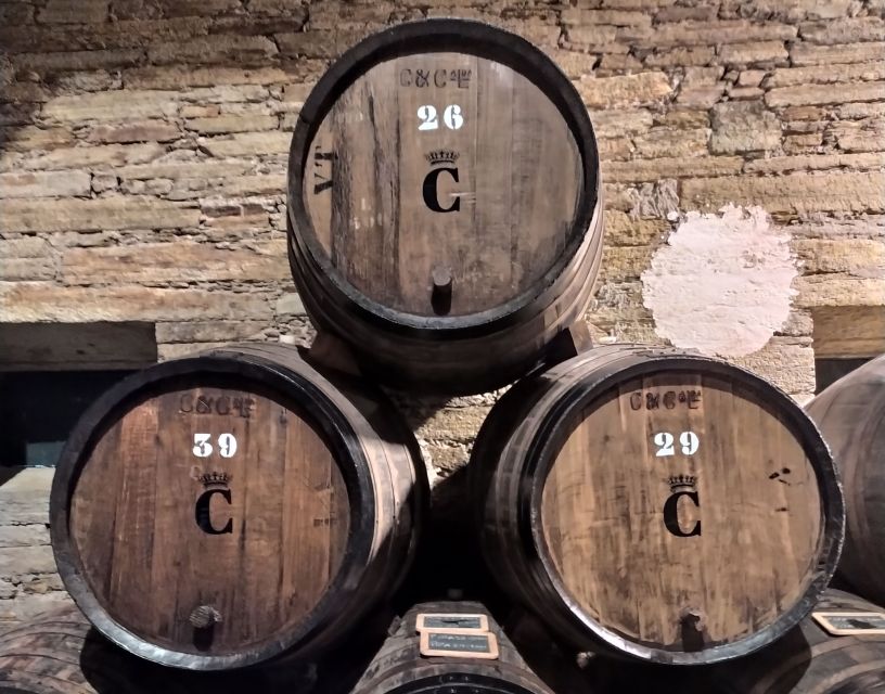 From Porto: Small-Group Douro Valley Wine Tour Lunch & Boat - Cais de Bagaúste: Your Private 1-Hour Douro River Cruise