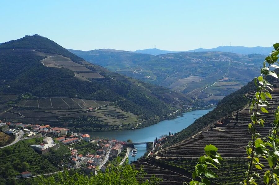 From Porto: Small-Group Douro Valley Wine Tour Lunch & Boat - The Real Value of This Tour at $91 Per Person