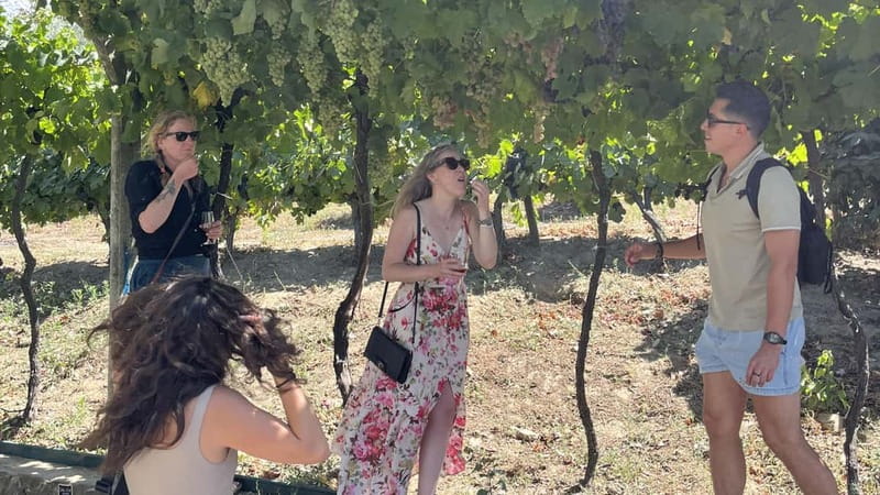 From Porto: Tastings at 2 Wineries, Chef's Lunch & Boat Tour - Is $134 good value? Here’s how I’d judge it