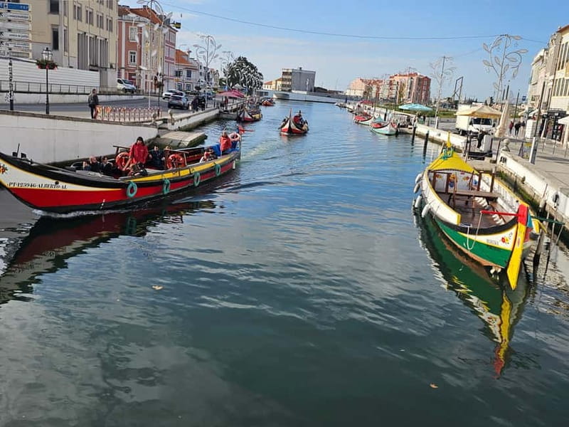 From Porto to Aveiro: Cruise, Aves, Salinas, Costa Nova, and Vista Alegre - Who should book this Porto to Aveiro day trip