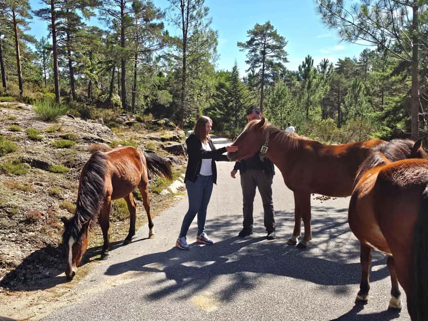 From Porto to Peneda-Gerês National Park - Why Peneda-Gerês feels like more than a drive