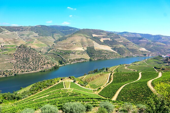 Genuine Douro Valley Tour: Visit 2 Wineries, Lunch & River Cruise - Porto to the Douro Valley: the smooth ride and famous N222 road