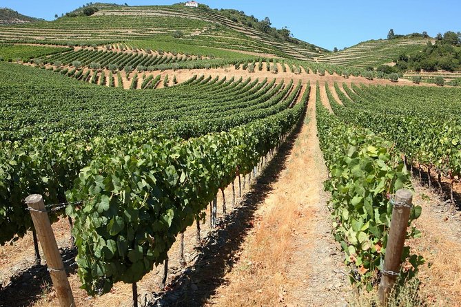 Genuine Douro Valley Tour: Visit 2 Wineries, Lunch & River Cruise - Pinhão: lunch town time plus the iconic tile railway station
