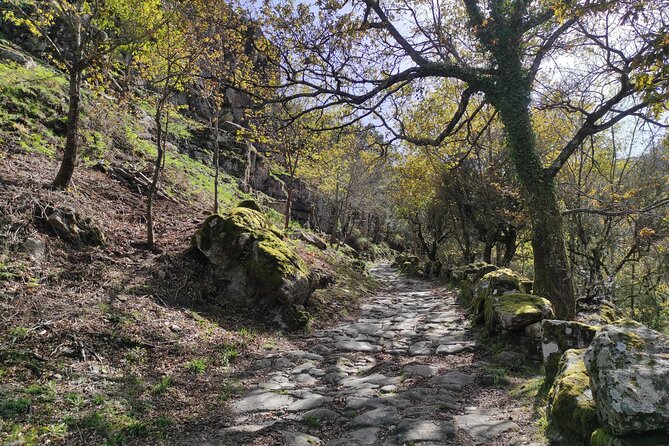 Gerês National Park with activities - Private half day/from Porto - Small hikes that balance “active” with “not exhausting”
