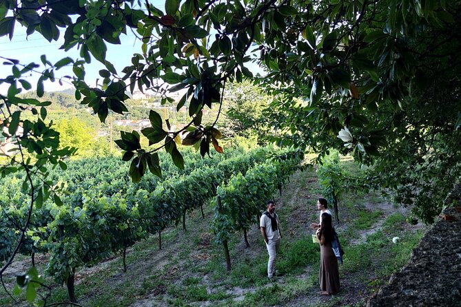 Guimarães & Braga Port Private Tour with Lunch and Green Wine - Driving Back to Porto: End Clean, Not Exhausted
