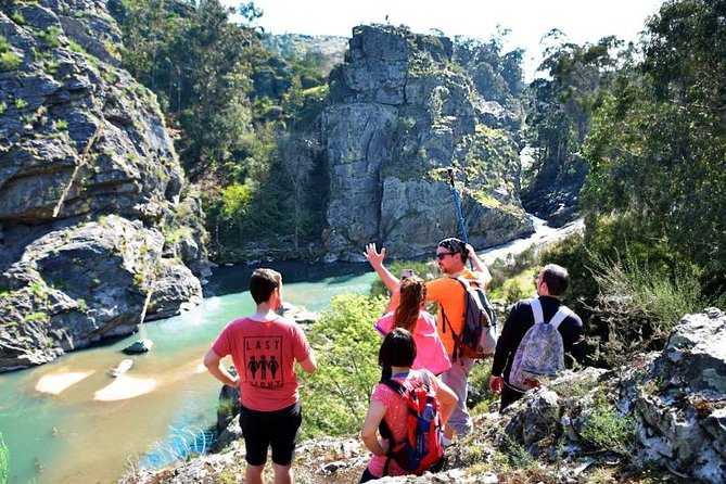 Half-day Hike & Picnic with Dog Love in Porto's Mountains - Key highlights for a half-day mountain escape