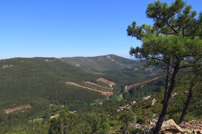 Half-day Hike & Picnic with Dog Love in Porto's Mountains - The Serras do Porto Park hike: what you’ll actually be walking