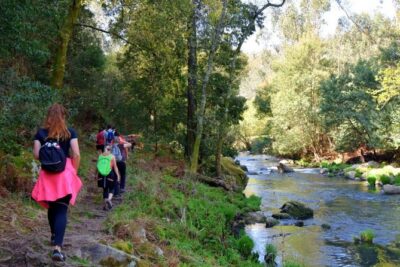 Half-day Hike & Picnic with Dog Love in Porto’s Mountains