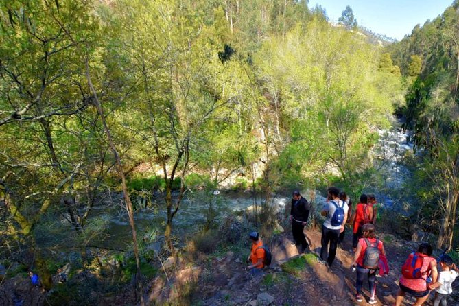Half-day Hike & Picnic with Dog Love in Porto's Mountains - Practical tips before you go