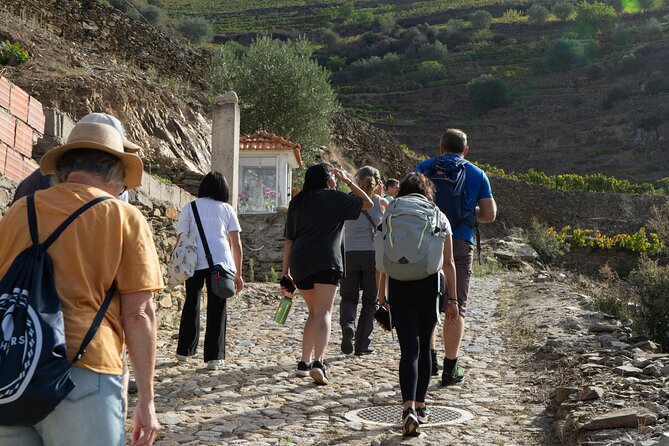 HIKING in the Douro Valley - A Morning Hike Into the Douro Wine Country