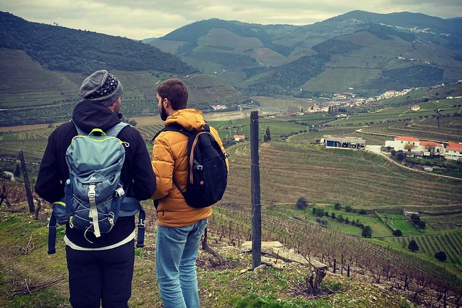HIKING in the Douro Valley - Picnic and Wine Stops, How the Food Fits the Day