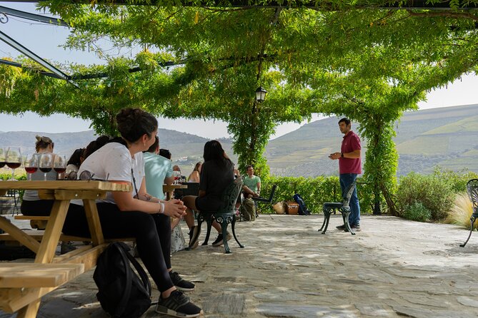 HIKING in the Douro Valley - Vineyard Hiking for About Four Hours, What to Expect on Foot