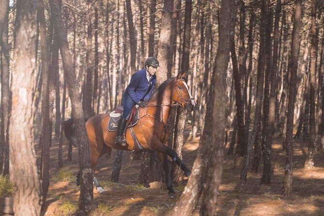 Horse Riding in the Countryside - Price and Value: Why This Costs What It Costs