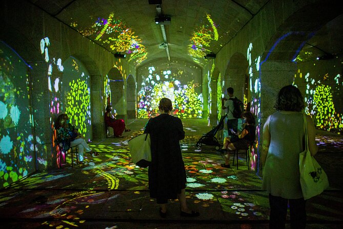 Impressive Monet and Brilliant Klimt: Immersive Experience - Price and value: $13.31 for Monet and Klimt in one sitting