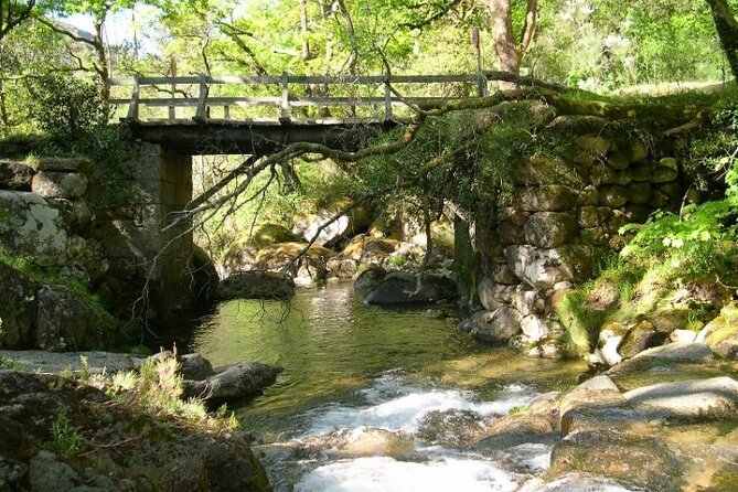 Kayak Experience & Gerês Tour, from Porto - Barragem Caniçada Kayak Time: Views From the Water, Swim Requirement Included