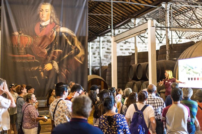MagicTrain Tour and Port Wine Cellar Visit & Tasting - Magic Train ride: what to watch for on the city loop