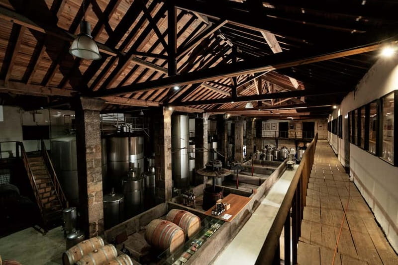 Mateus Palace - In the Footsteps of Wine History - Key things to know before you go