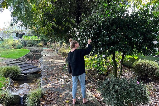 Meditation Experience at a Lovely Farm in Porto - Nuno and Ines: meditation teacher meets meditative dance