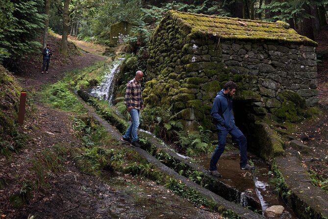 Nature and Green Wine Tasting Tour - Cabeceiras de Basto mills and trails, with a swim as a reward