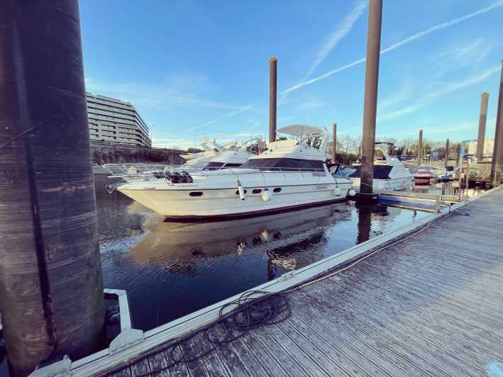Passeio de barco rio douro inesquecível - The Cruise Core: Wine, Music, Comfort, and a Smooth Rhythm