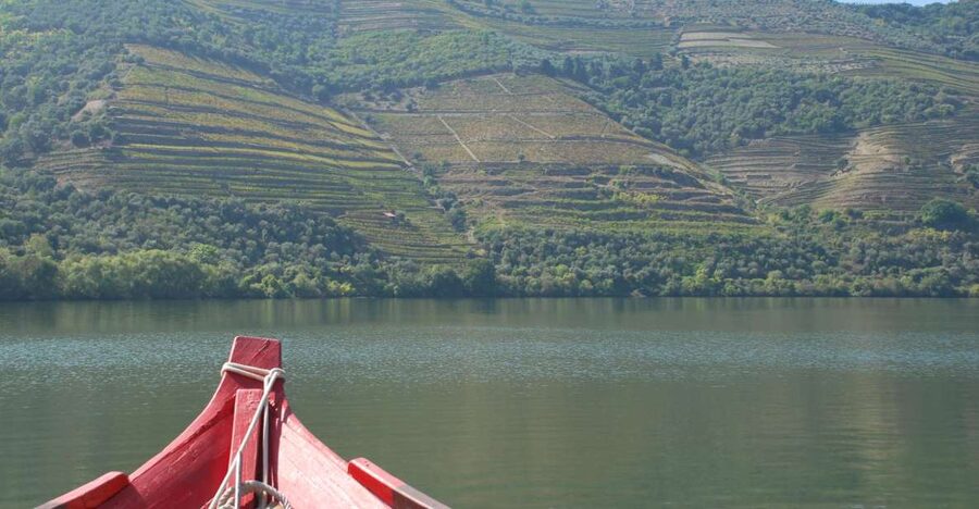 Pinhão: Rabelo Boat 1-Hour Tour - Key highlights to notice
